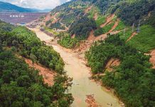 வடகிழக்கு பருவமழையின் போது 313 நிலச்சரிவு சம்பவங்கள் பதிவு