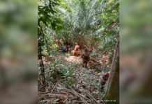 மலையேறும் நடவடிக்கையில் ஈடுபட்டிருந்த 84 வயது முதியவரை காணவில்லை