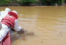 ஷெல் கனோவிட் படகுத்துறை அருகே பெண் ஒருவரின் சடலம் மிதந்து கிடக்க கண்டெடுக்கப்பட்டது