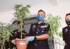 Penyanyi nasyid mungkin beli benih pokok ganja secara ‘online’