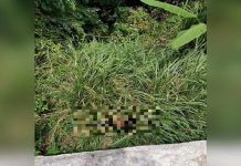 Mayat dalam gaung: Suspek dipercayai sorok kematian