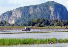 கெடாவின் குனுங் கெரியாங்கில் மலையேறிய மூன்று பேர் காணாமல் போயுள்ளனர்