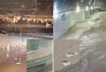 KL இல் ஏற்பட்ட வெள்ளம் குறித்து சமூக ஊடகங்களில் பரவும் காணொளிகள்