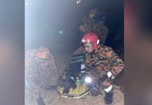 Paraglider மரத்தில் மோதி உயிரிழந்தார்