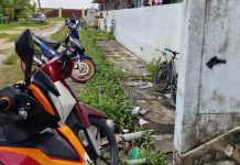 குப்பைகளுக்கு மத்தியில் இருக்கும் அடுக்குமாடி: குடியிருப்பாளர்கள் வேதனை