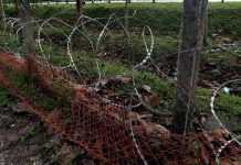 1999 முதல் குடிநுழைவு கிடங்கில் இருந்து கைதிகள் தப்பிச் சென்ற சம்பவங்கள்