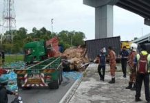 Pemandu lori cedera dihempap kontena jatuh jejambat