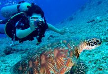 மெர்சிங் நீரில் ஸ்கூபா டைவிங், ஸ்நோர்கெல்லிங் நடவடிக்கைகள் உடனடியாக நிறுத்த உத்தரவு