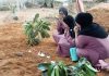 12 மணி நேரத்திற்குள் பெற்றோரை இழந்த உடன்பிறப்புகள்
