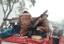 Pemandu lori maut tersepit dihempap pokok tumbang