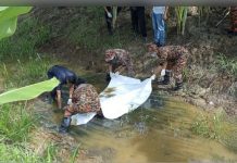 காணாமல் போனதாக புகார் அளிக்கப்பட்ட முதியவரின் உடல் சடலமாக மீட்பு