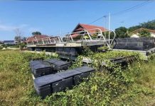 குளவி கொட்டி 5 வயது சிறுவன் உயிரிழந்தான்