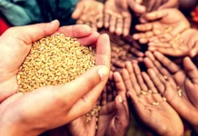 கோவிட்-19 தொற்றுக்கு பிந்தைய, உணவுப் பொருட்களின் விலை உயர்வு மக்களை விளிம்பில் தள்ளக்கூடும் என்கிறார் ஹிஷாமுடின்