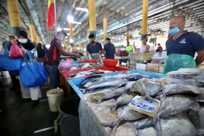 ikan