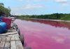 பொறுப்பற்றவர்களின் செயலால் Sungai Chandong நீர் சிவப்பு நிறமாக மாறியது