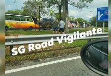 ஜோகூர் CIQ வளாக மரத்தடியில் சிறுநீர் கழித்த 2 பேரை போலீசார் தேடி வருகின்றனர்