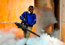 நாட்டில் டிங்கி காய்ச்சல் சம்பவங்கள் அதிகரிப்பு