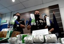 காய்கறி தோட்டத்தில் 34 கஞ்சா செடி; ஐவர் கைது