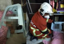 பிளாஸ்டிக் நாற்காலியில் தலை சிக்கிய நிலையில் வலியால் துடித்த மூதாட்டி தீயணைப்பு வீரர்களால் மீட்பு