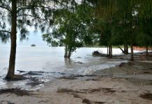 இன்று முதல் ஞாயிற்றுக்கிழமை வரை கடலில் அதிகமான அலைகள் ஏற்படக்கூடும்; விழிப்புடன் இருக்குமாறு மக்களுக்கு அறிவுறுத்தல்