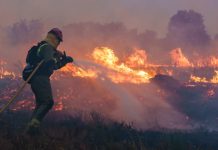 கோலா லங்காட் செலாத்தான் வனப் பகுதியில் ஏற்பட்ட தீ அணைக்கப்பட்டது