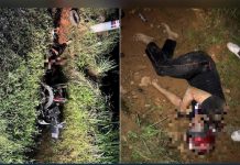 யானை தாக்கியதில் உயர்நிலை மாணவர் படுகாயம்