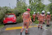 கோலாலம்பூரில் இன்று மரங்கள் விழுந்தது தொடர்பான எட்டு சம்பவங்கள் பதிவு