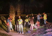 செம்பனைத் தோட்டத்தில் கழுத்து அறுக்கப்பட்ட நிலையில் ஆடவரின் சடலம் கண்டெடுப்பு