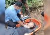 மலை ஏறும் நடவடிக்கையின் போது பிரெஞ்சுக்காரர் ஒருவர் உயிரிழந்தார்