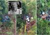 காணாமல் போனதாக மூன்று நாட்களாக தேடப்பட்டுவந்த முதியவர், அவர் ஓட்டிச்சென்ற காருடன் பள்ளத்தில் விழுந்து இறந்து கிடக்க கண்டெடுக்கப்பட்டார்