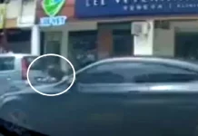 காரின் பதிவு எண் நீக்கம் குறித்து போலீசார் விசாரணை