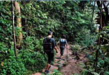 மலையேறும் போது காணாமல் போயிருக்கும் சிங்கப்பூரியர்