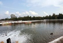 தொடர் மழை காரணமாக நாட்டின் ஏழு ஆறுகள் அபாய அளவைத் தாண்டிவிட்டன