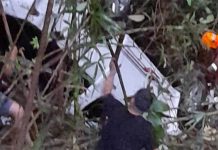 சுற்றுலா சோகத்தில் முடிந்தது; பிக்கப் பள்ளத்தில் விழுந்ததில் பெண் ஒருவர் மரணம்- 13 பேர் காயம்