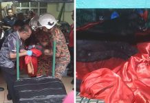 செமினியின் வீட்டின் முன் கருப்பு சிறுத்தை பிடிக்கப்பட்டது