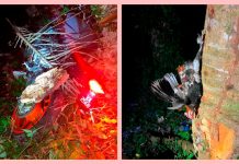 மோட்டார் சைக்கிள் மீது காட்டுக்கோழி மோதிய விபத்தில் தந்தை மற்றும் மகன் பலி