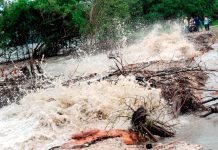 கோல லங்காட்டை சுற்றியுள்ள கடற்பகுதிகளை தவிர்க்குமாறு பொதுமக்களுக்கு அறிவுறுத்தல்