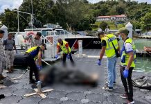 பூலாவ் பாசீர் பகுதியில் கறுப்பு நிற அரைக்காற்சட்டை அணிந்த ஆணின் சடலம் மிதந்த நிலையில் கண்டெடுப்பு