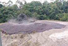 தாபின் வனவிலங்கு பூங்காவில் சேற்று எரிமலை வெடித்தது