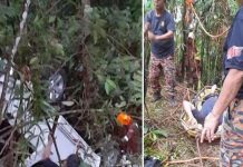 பிக்கப் வேன் 9 மீட்டர் ஆழமுள்ள பள்ளத்தில் விழுந்தது – ஒருவர் பலி; 13 பேர் காயம்