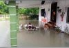 திடீர் வெள்ளம்: நாகப்பாம்பு தன்னுடன் நீந்துவதை கண்ட உடல்பேறு குறைந்த பெண் அதிர்ச்சி