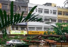 மரம் விழுந்ததில் 6 பேர் காயமடைந்தனர்