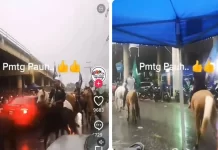 ‘kalimah syahadah’ தீவிரவாத இயக்கம் அல்ல – காவல்துறை தகவல்