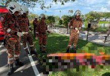 குளவி கொட்டியதில் முதியவர் மரணம்