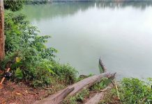 செரெண்டா ஏரியில் முதலையின் தடயங்கள் இல்லை