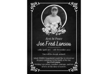 லோக் காவி வனவிலங்கு பூங்காவில் யானை அதன் பராமரிப்பாளரை கொன்றது