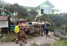 Mosar பிரிவினரால் காயமடைந்த கினபாலு மலை ஏறுபவர் மீட்கப்பட்டார்