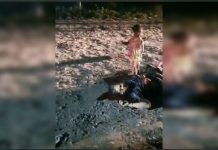 திரைப்படங்களில் வருவதுபோல் கொலையுண்ட தாயின் அருகில் அழுது கொண்டிருந்த குழந்தை