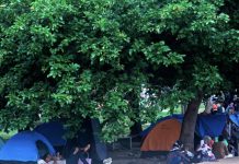 நான்கு பொது பூங்காக்களில் முகாம் நடவடிக்கைகளை DBKK இடைநிறுத்துகிறது