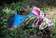 யானை மிதித்து 39 வயது பெண் பலி